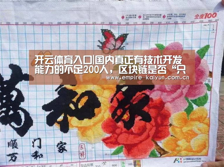 开云体育入口|国内真正有技术开发能力的不足200人,区块链是否“只是一种传说”?(图1) 开云平台