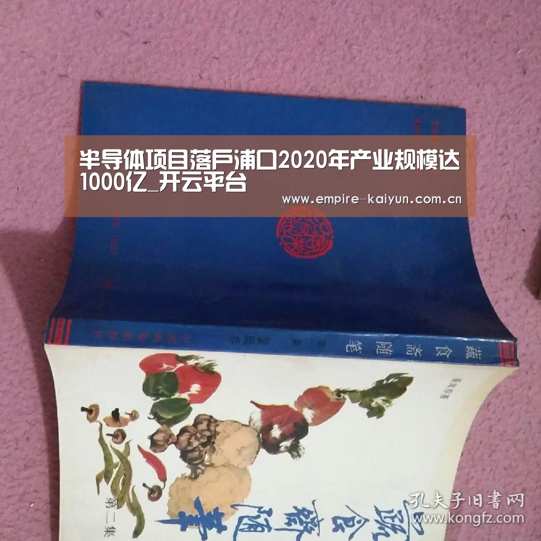 KAIYUN中国站