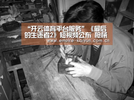 开云体育平台服务