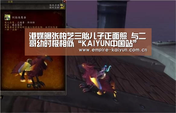 开云体育平台服务