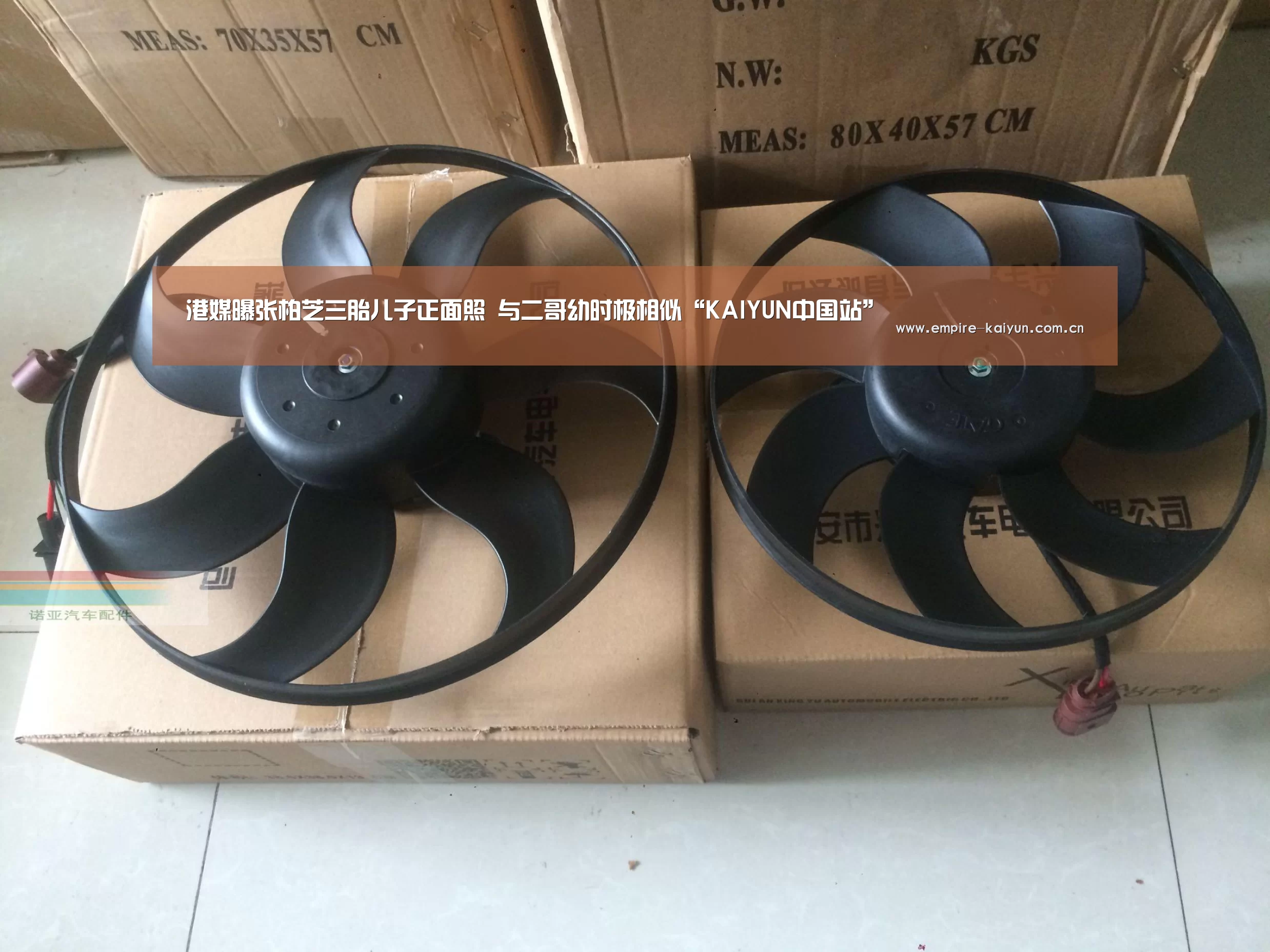 开云体育高清直播
