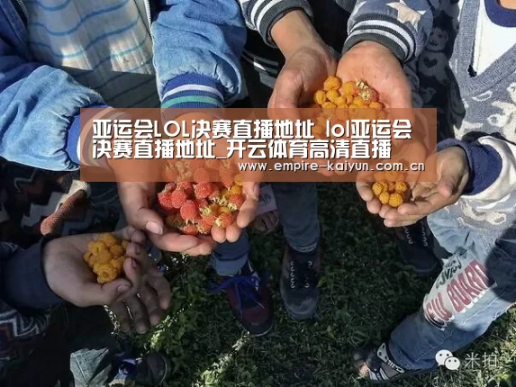开云体育入口