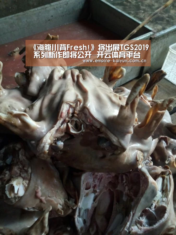 《海腹川背Fresh!》将出展TGS2019 系列新作即将公开-开云体育平台服务(图3) 开云平台