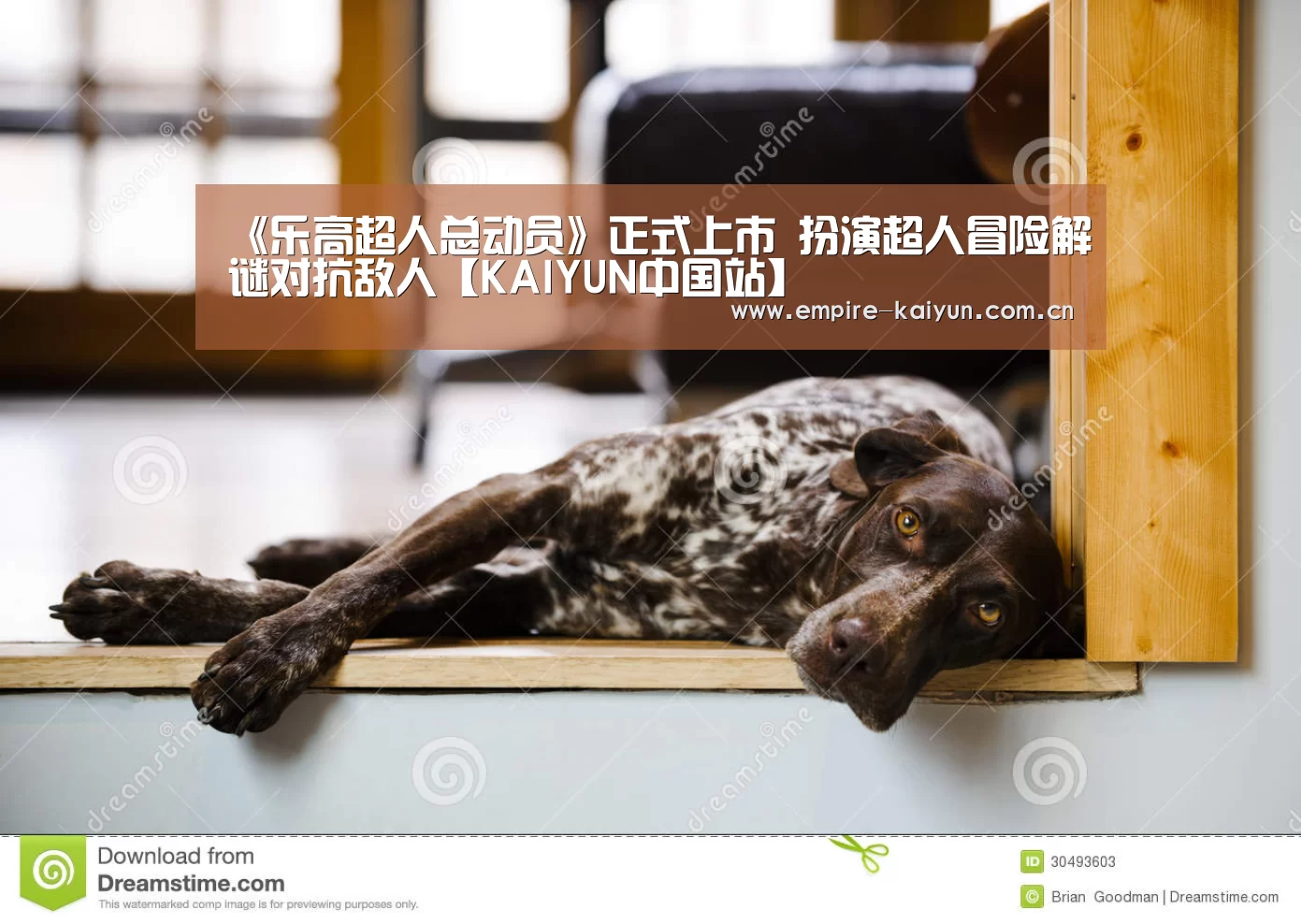 《乐高超人总动员》正式上市 扮演超人冒险解谜对抗敌人【KAIYUN中国站】(图3) 开云平台